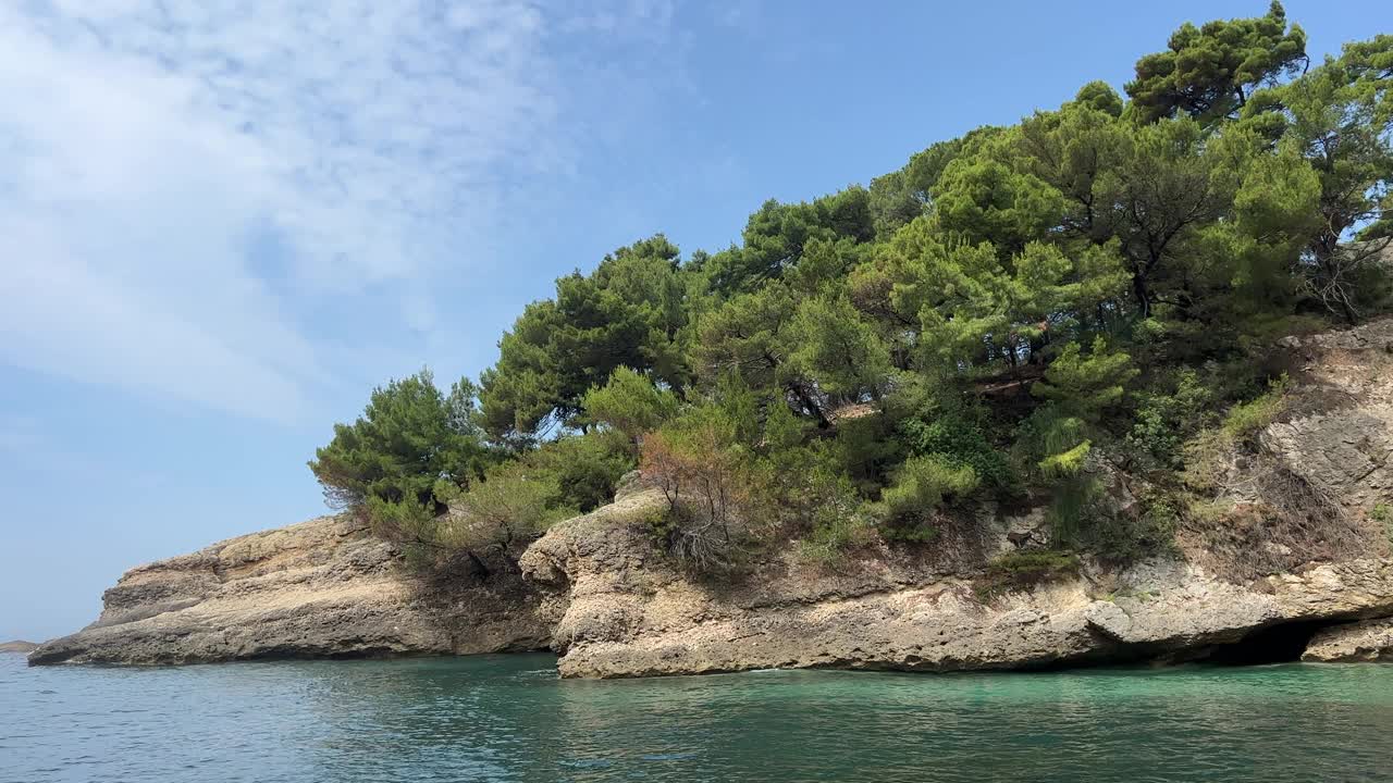 海海岸杂草丛生的松海岸在夏季黑山。视频素材