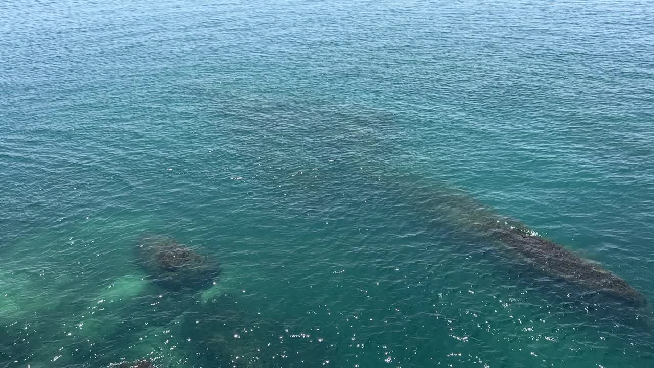 海水蓝蓝的，海面亮晶晶的。视频素材