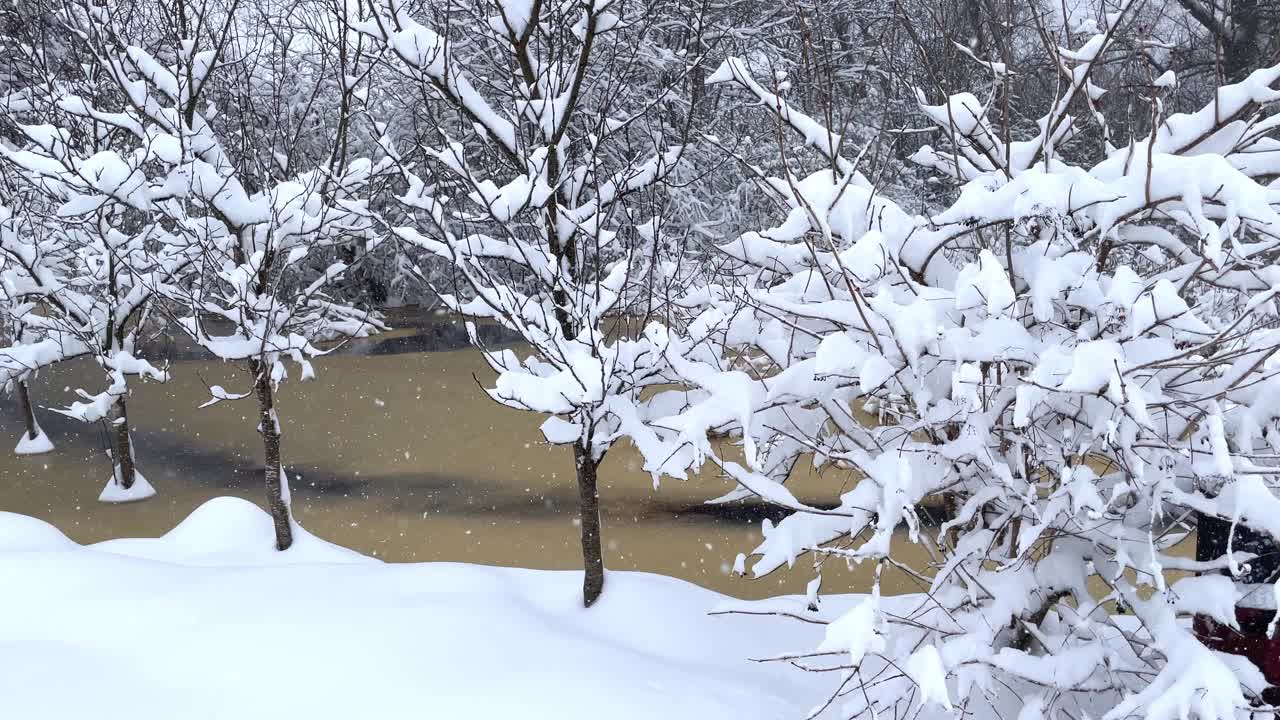 冰雪覆盖的霜刷蒸汽在冰面上。雪落在冬天的灌木丛和河流上。视频素材