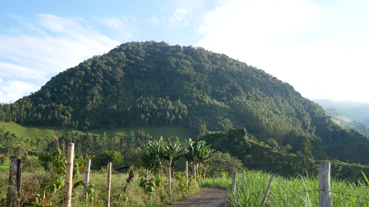 有栅栏的土路，可以看到前面绿树成荫的山视频素材