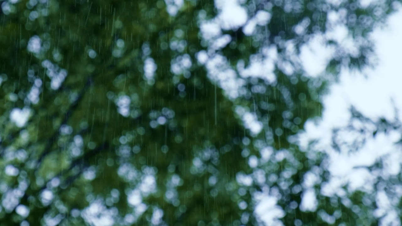 暴雨倾盆，夏季雷暴。绿色的树作为背景。多风多雨的天气，近距离拍摄带有散景的暗夜镜头。季节热带雨林风暴视频素材