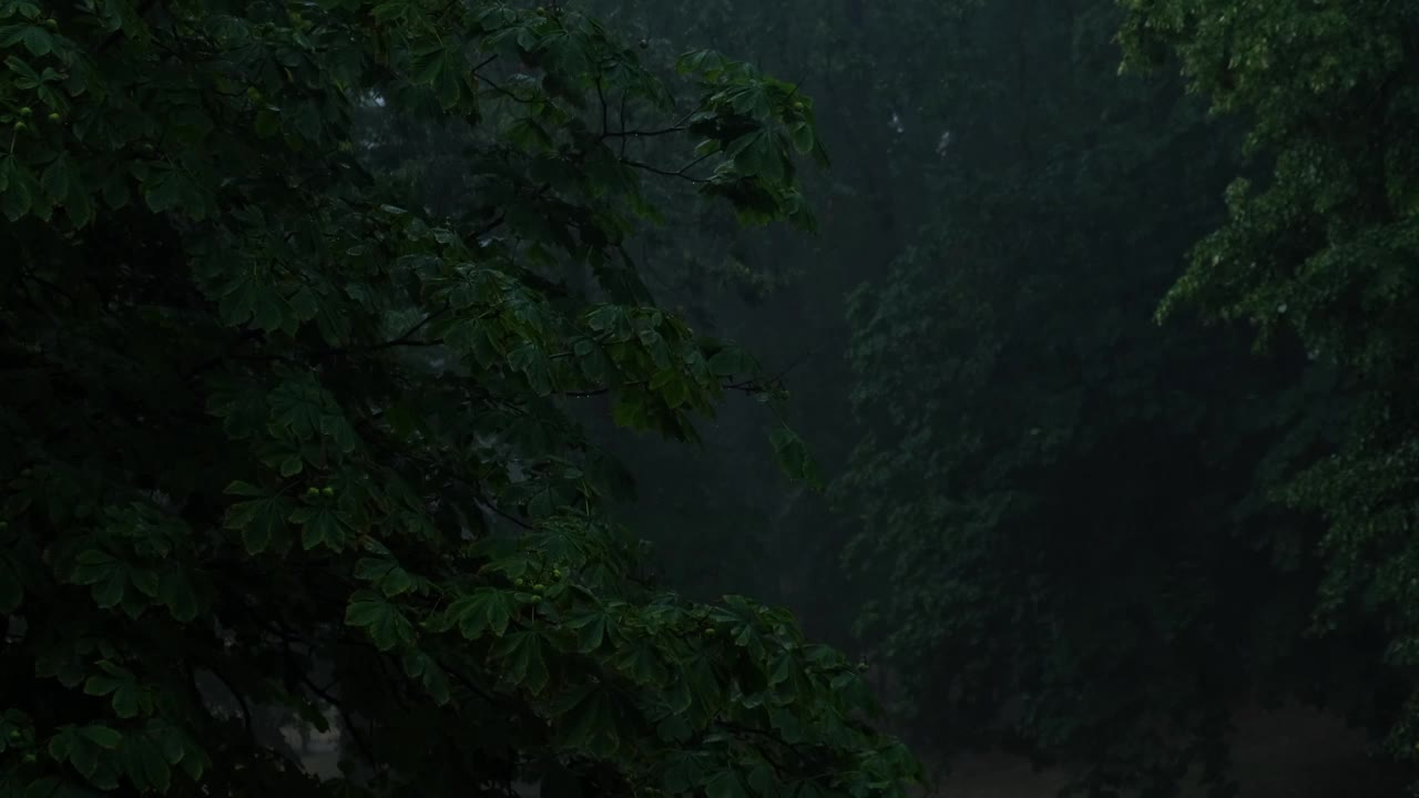 暴雨倾盆，夏季雷暴。绿色的树作为背景。多风多雨的天气，近距离拍摄带有散景的暗夜镜头。季节热带雨林风暴视频素材