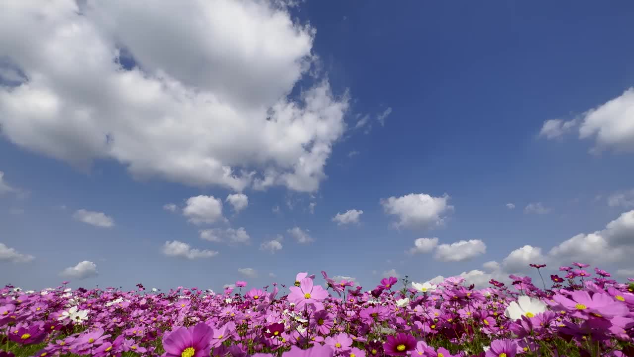 秋天天空和宇宙场的平移视频。视频素材