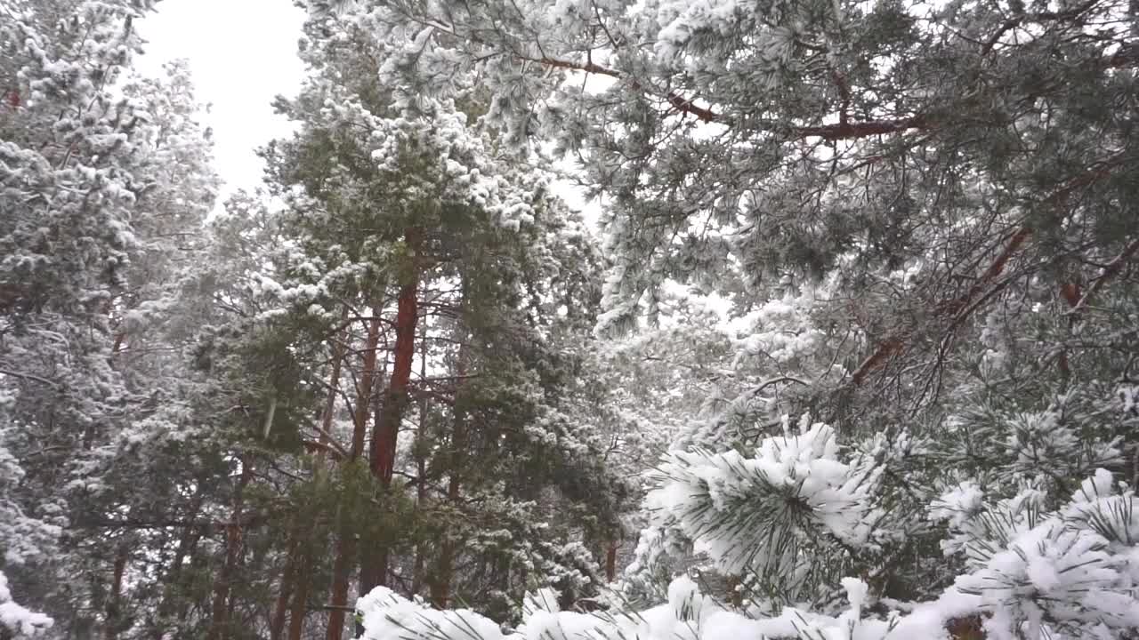 冬天视频素材