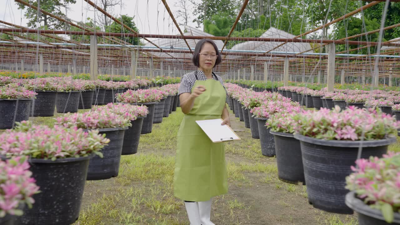 加德纳资深女企业主在温室里照顾花卉种植园视频素材