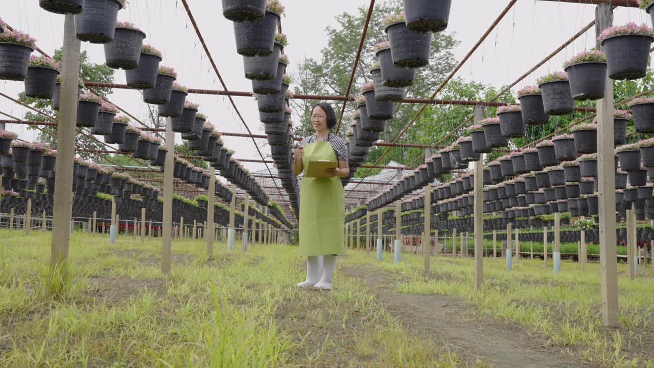 商业花卉栽培品种的研究与开发，园林中心视频下载