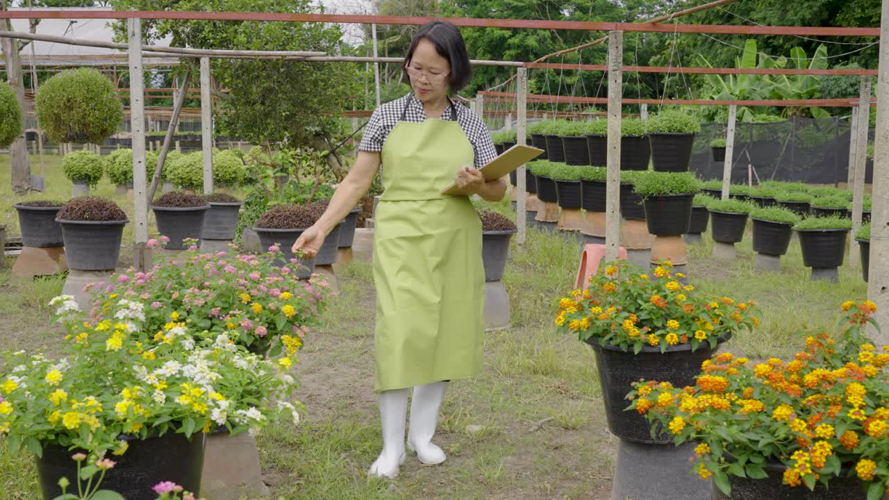 花卉栽培以苗圃种植为业，资深种植户在盆栽中检查花卉生长情况视频下载