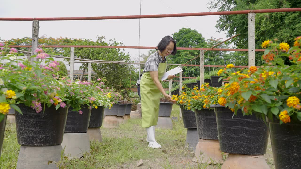 商业花卉栽培品种的研究与开发视频下载