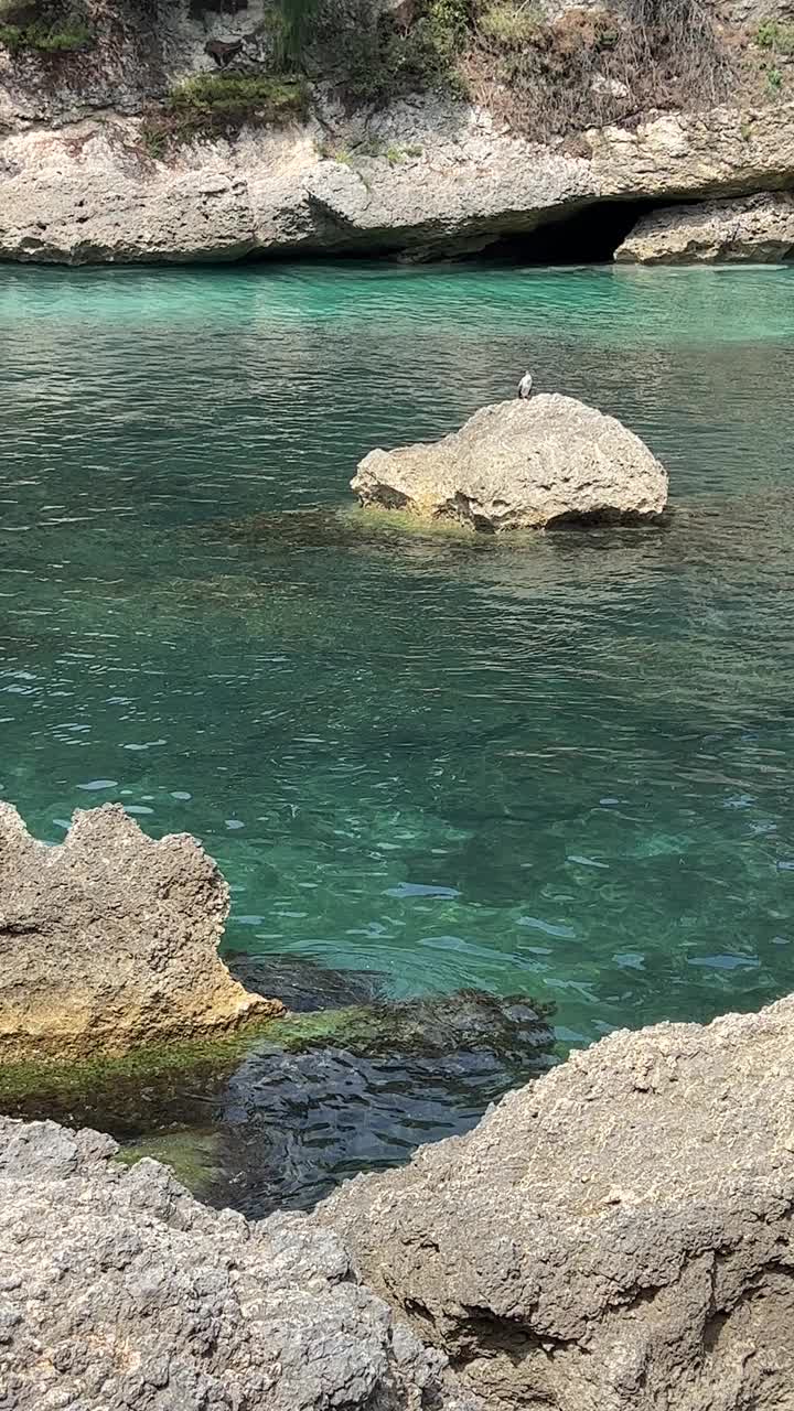 岩石海岸的大海，清澈的蓝绿色的水，垂直视频。视频素材