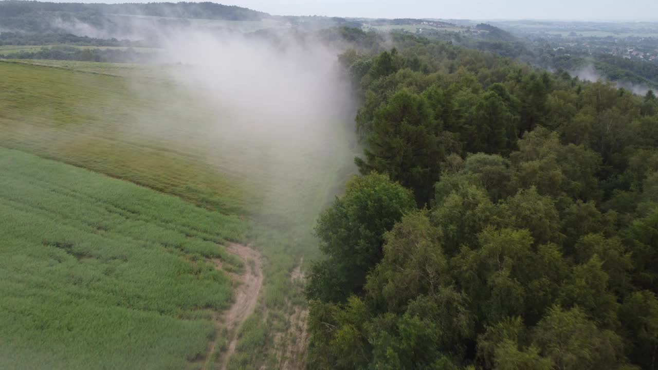 在迷雾中飞过草地视频素材