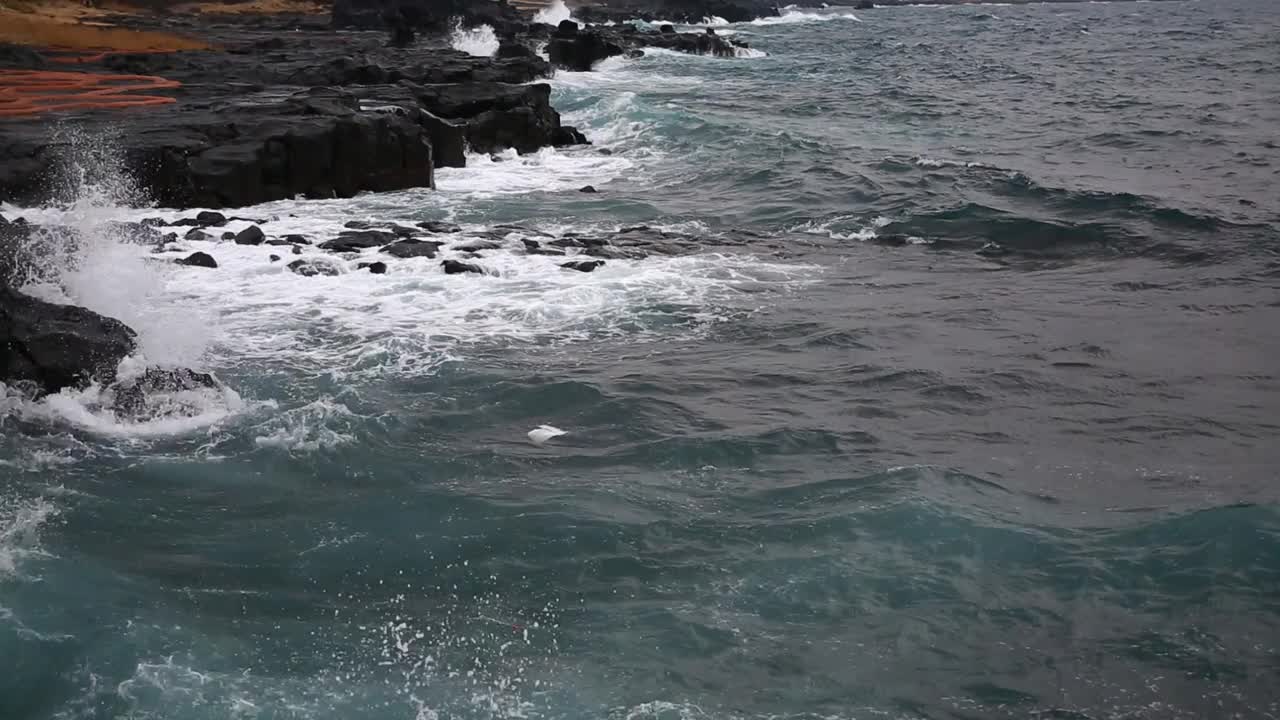 在济州岛的海月石盐池附近，可怕的海浪拍打着海面视频素材