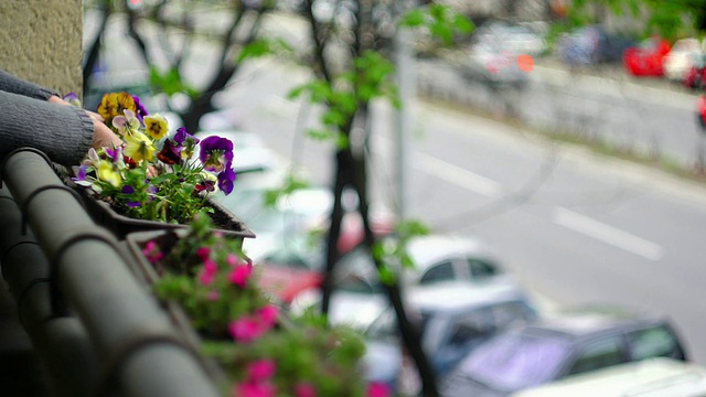 种花视频素材