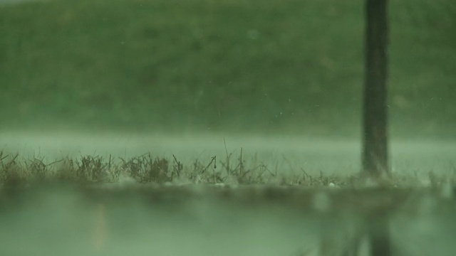 大雨视频素材