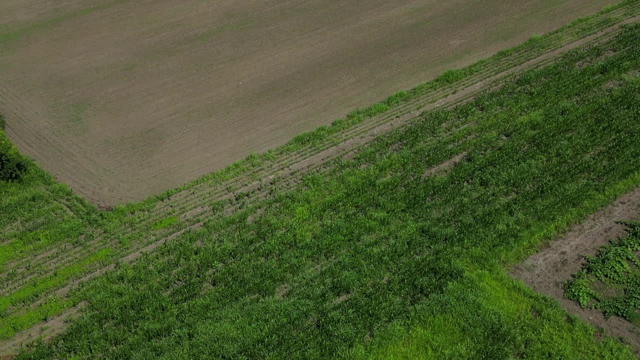 田野鸟瞰图视频素材