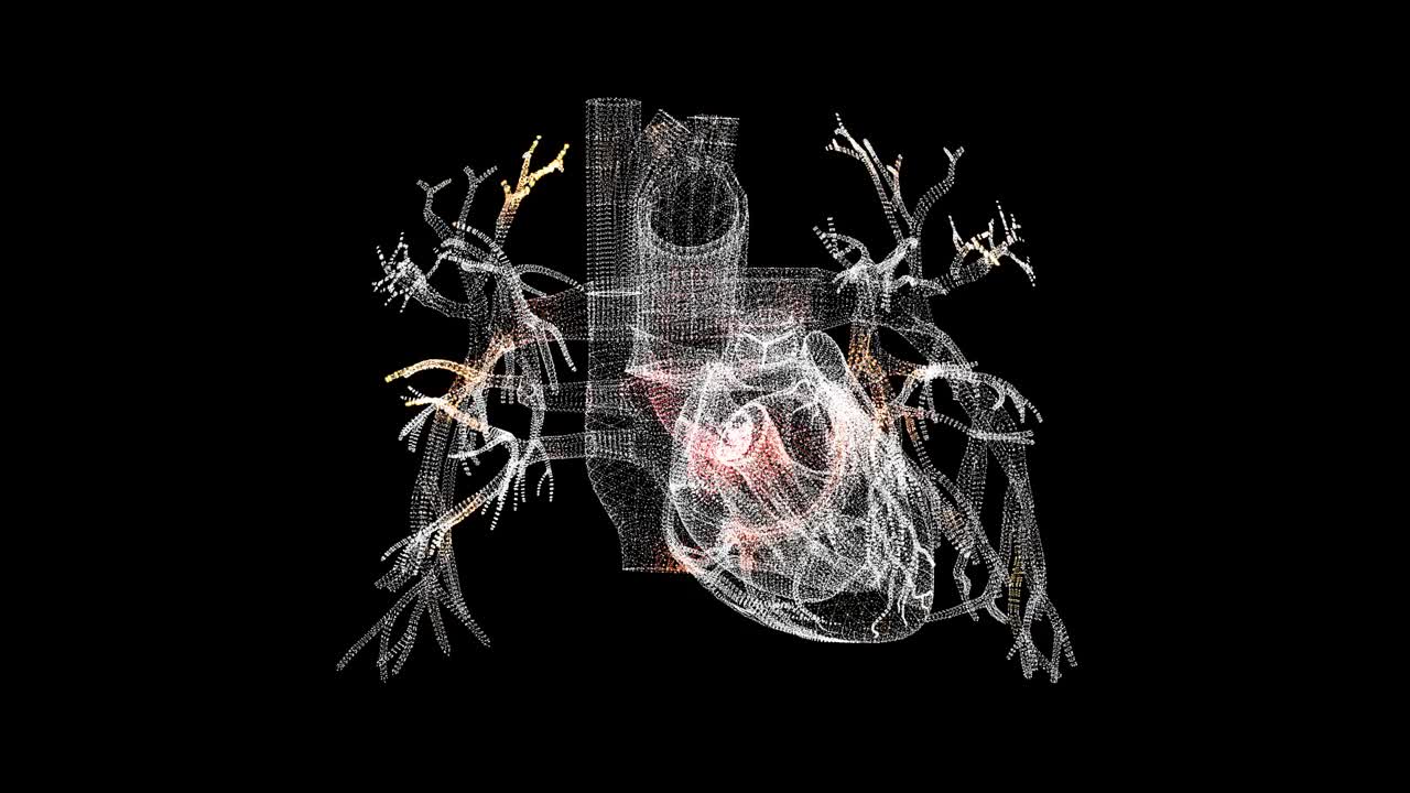 3D心脏扫描。心脏扫描接口。HUD心脏分析。【医学】解剖学概念。用于标题，文本，演示。3d动画60 FPS。视频素材