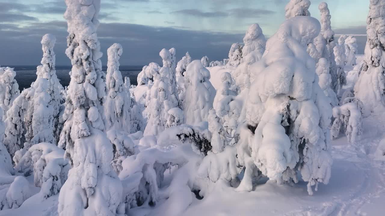 芬兰拉普兰的日出，鸟瞰白雪覆盖的森林视频素材