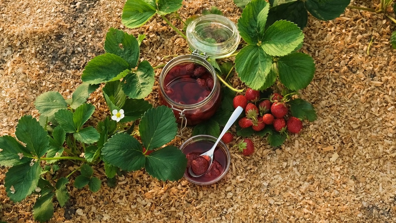 花园里有草莓酱。有选择性的重点。食物。视频素材