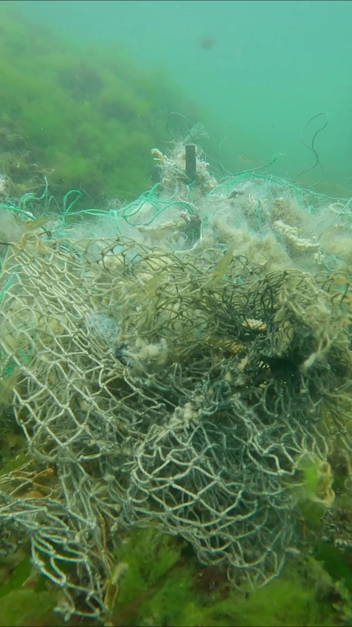 丢失的渔网躺在黑海浅水区绿藻Ulva的海底视频素材