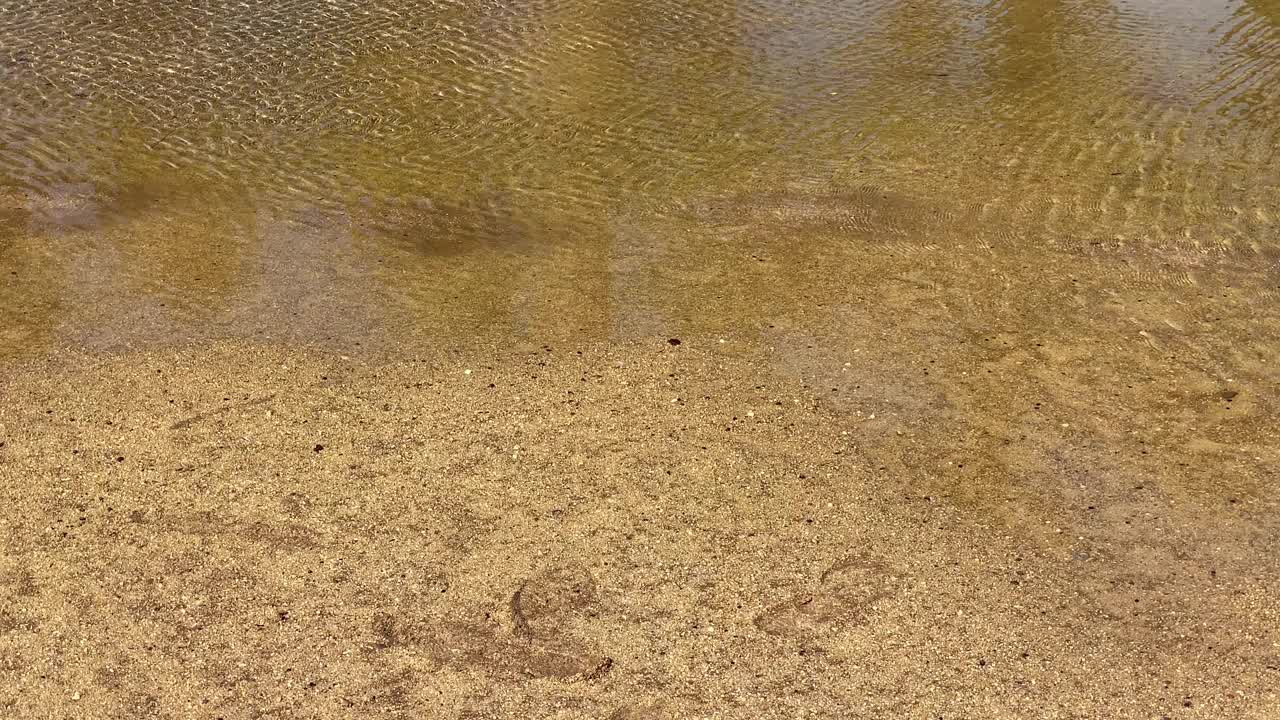 大雨后地面上的水流视频素材