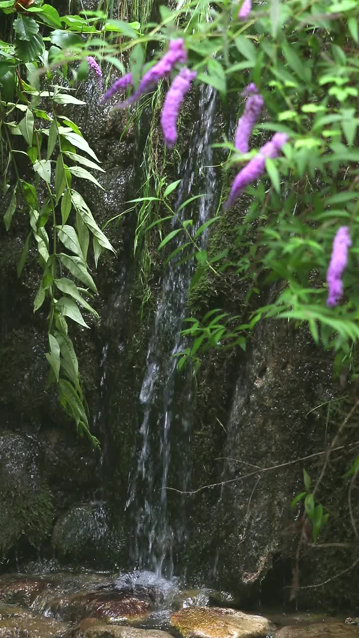 小瀑布视频素材