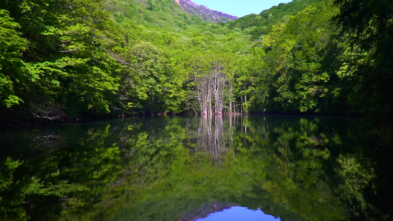 长沼池塘，清新的绿色植物反射在水面上。/青森津田温泉视频素材