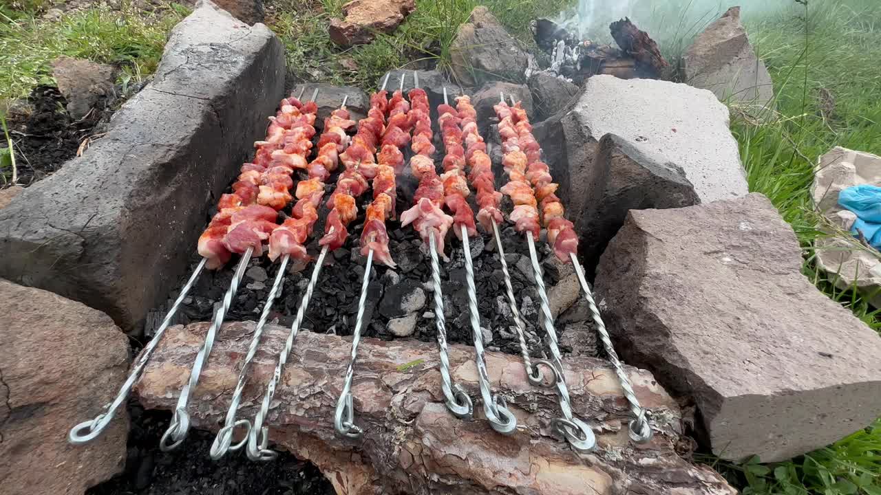 野餐在森林地区举行。肉串在炭火上烤。视频下载