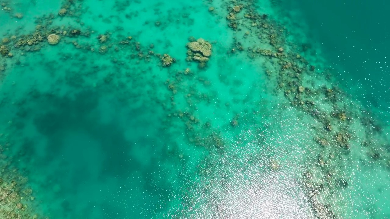 在透明的海面上飞行。菲律宾。视频素材