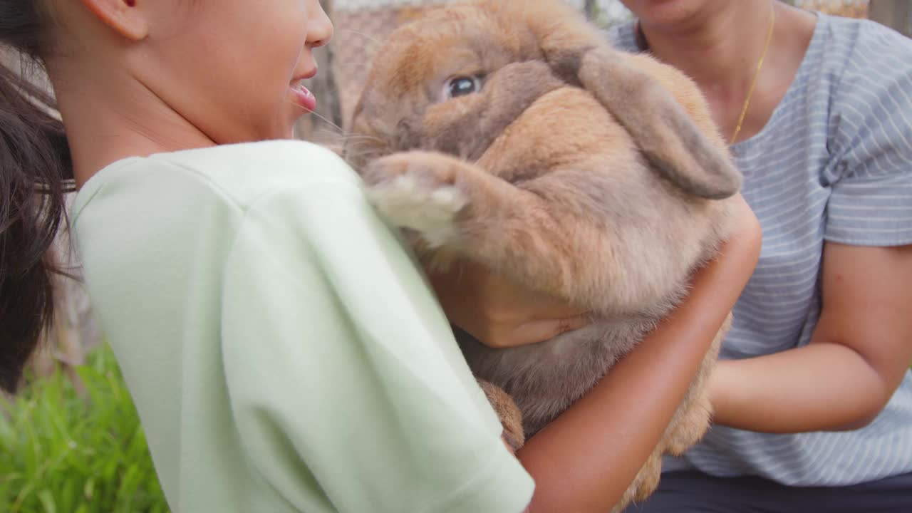 一个亚洲小女孩和一只可爱的棕色兔子玩得很开心。主人在家前院温柔地照顾宠物。孩子们对宠物的爱。视频素材