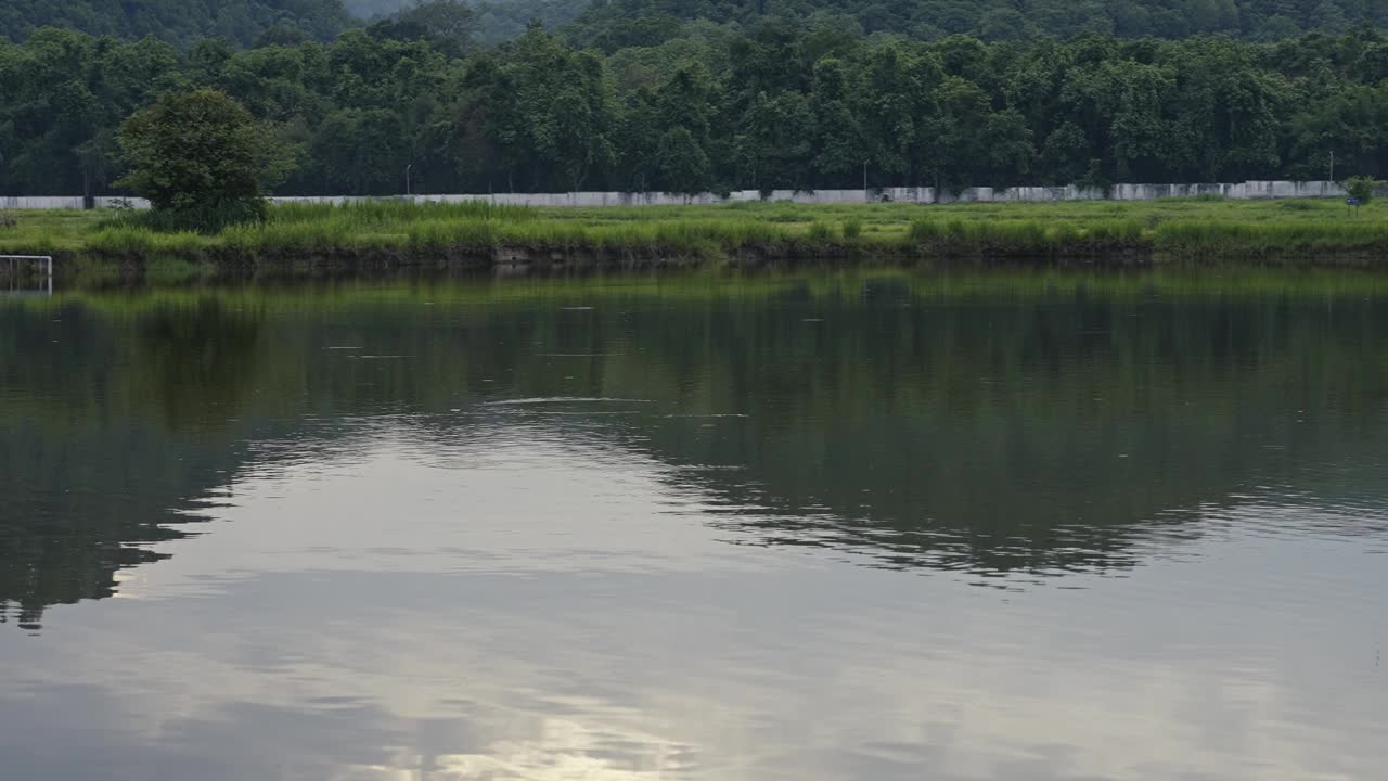 宁静的日落反射在水塘:宁静的自然景观与平移拍摄视频素材