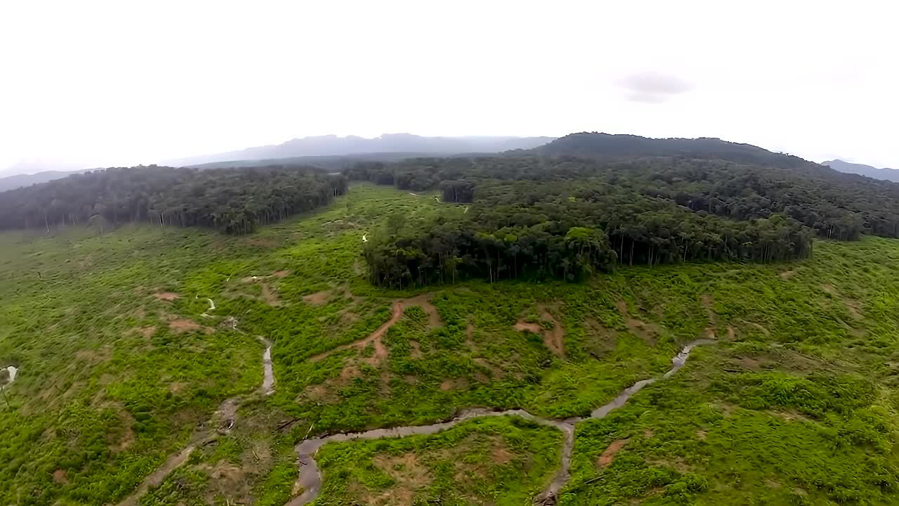 鸟瞰图。赤道雨林的破坏。砍伐树木。视频素材