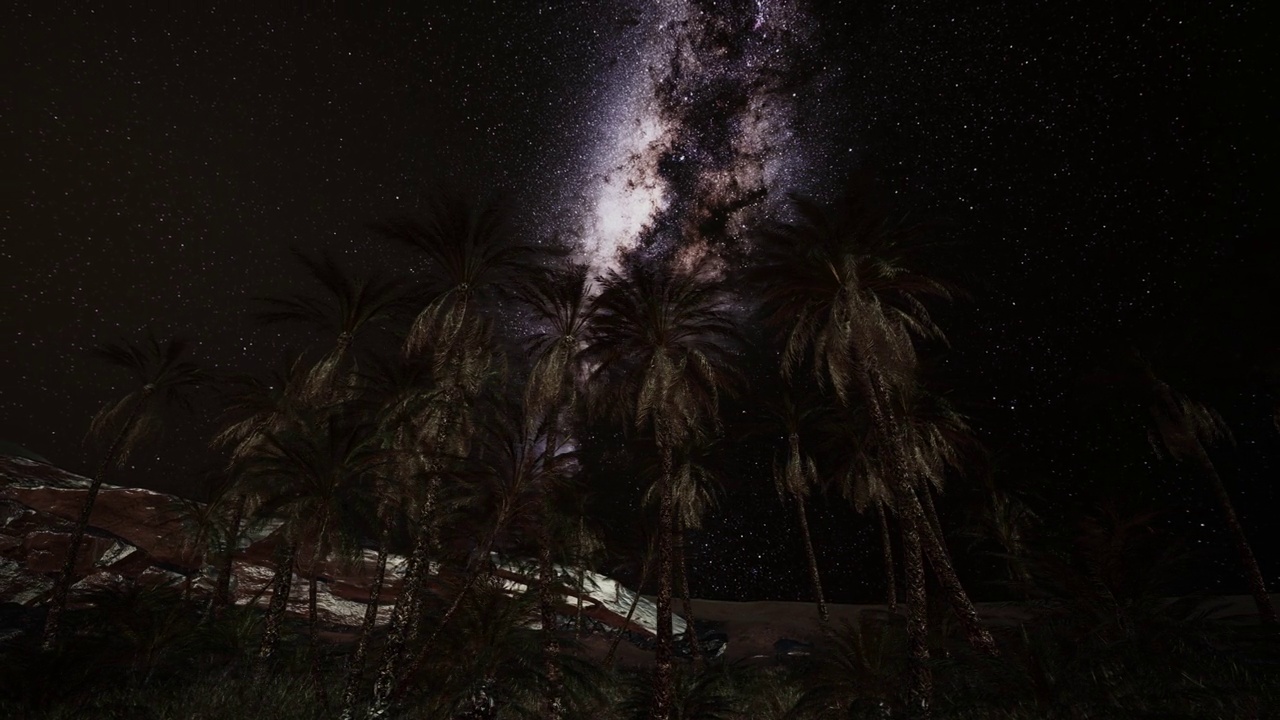 夜间拍摄，背景是棕榈树和银河视频素材