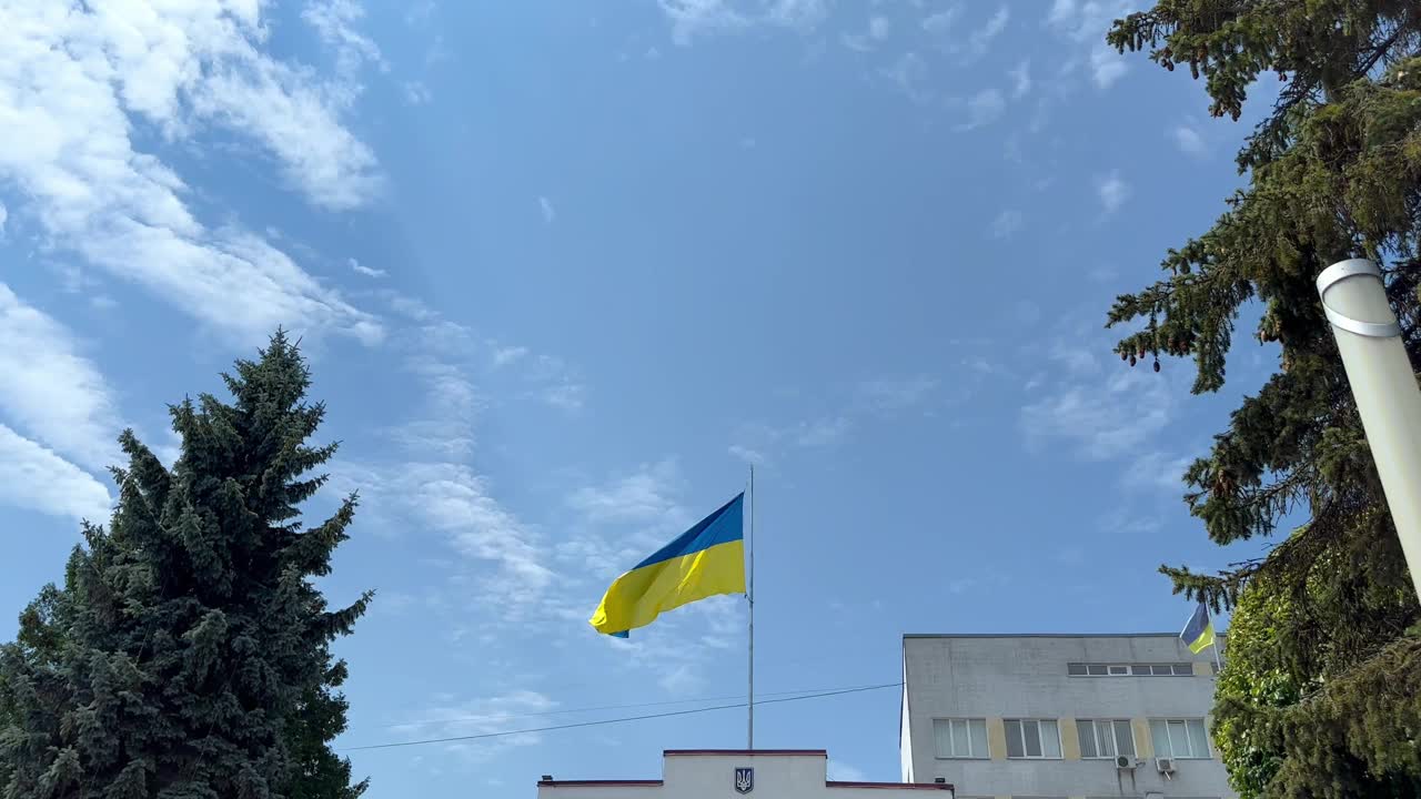乌克兰国旗和三叉戟国徽视频素材