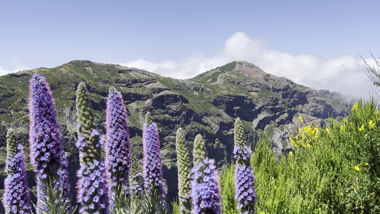 从1818米高的Pico do Areeiro俯瞰，它是葡萄牙马德拉群岛的第三高峰。视频下载