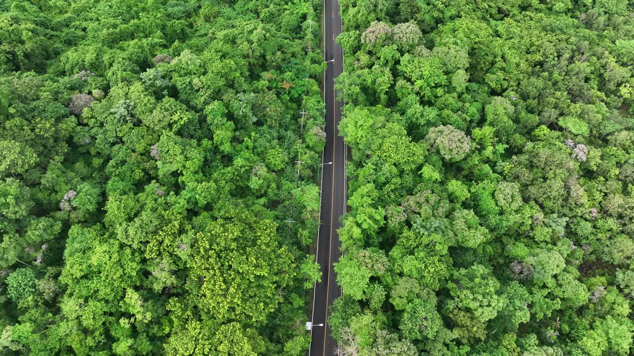 森林道路的鸟瞰图。美丽的山路。视频素材