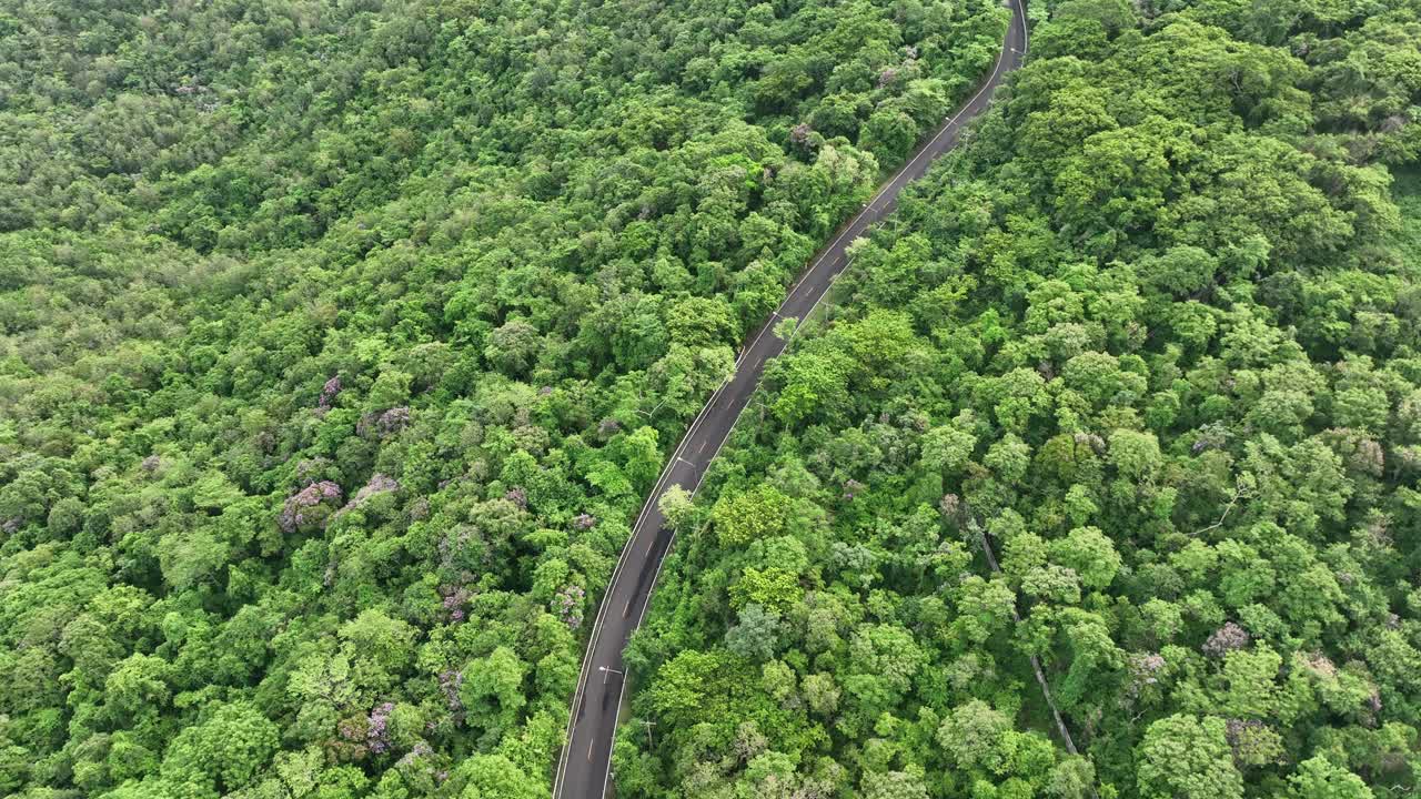 森林道路的鸟瞰图。美丽的山路。视频素材