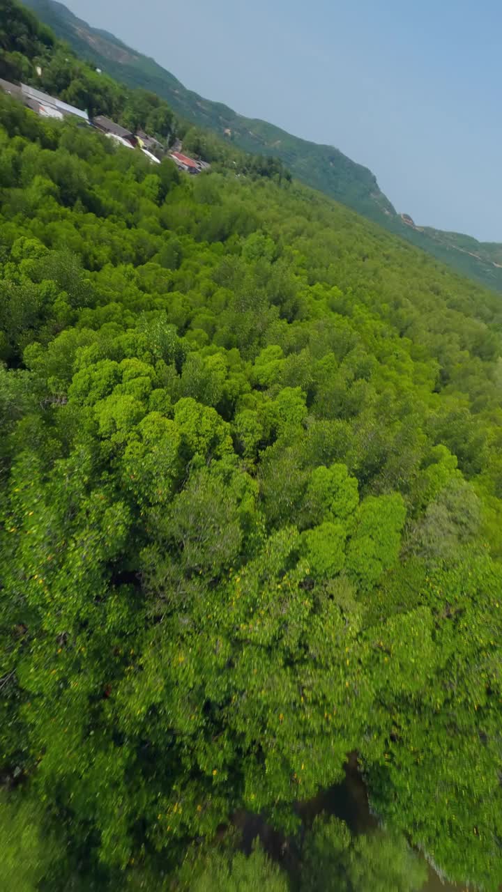 垂直视频4k。飞越亚村船水河当地农村的房子视频素材