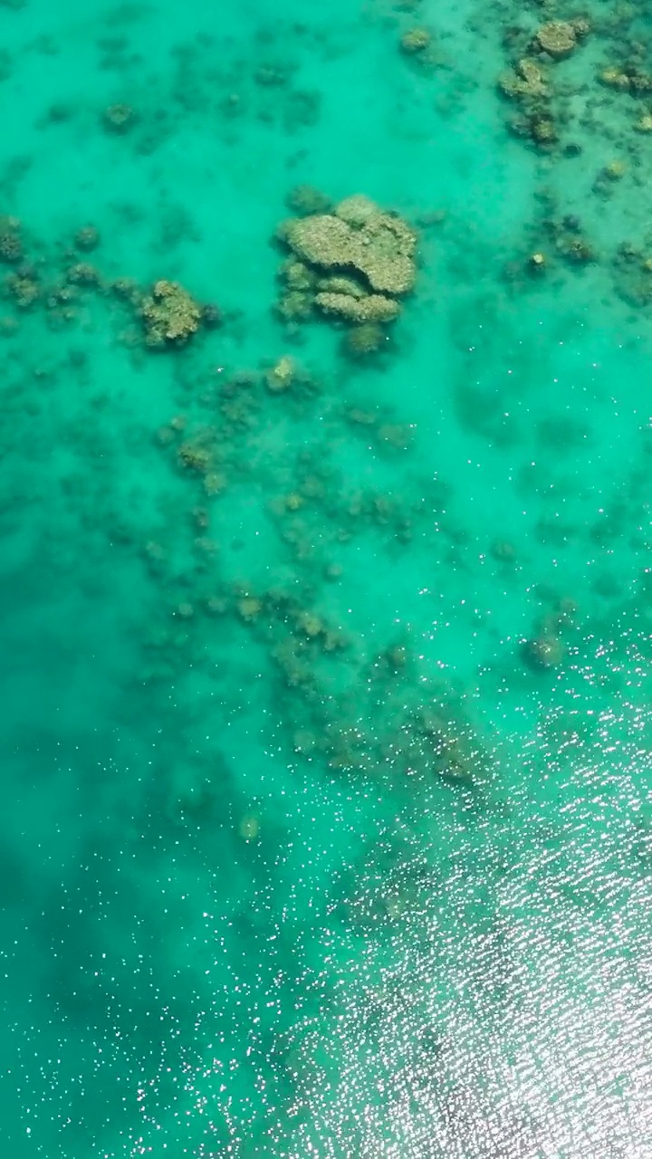 在透明的海面上飞行。菲律宾。视频素材