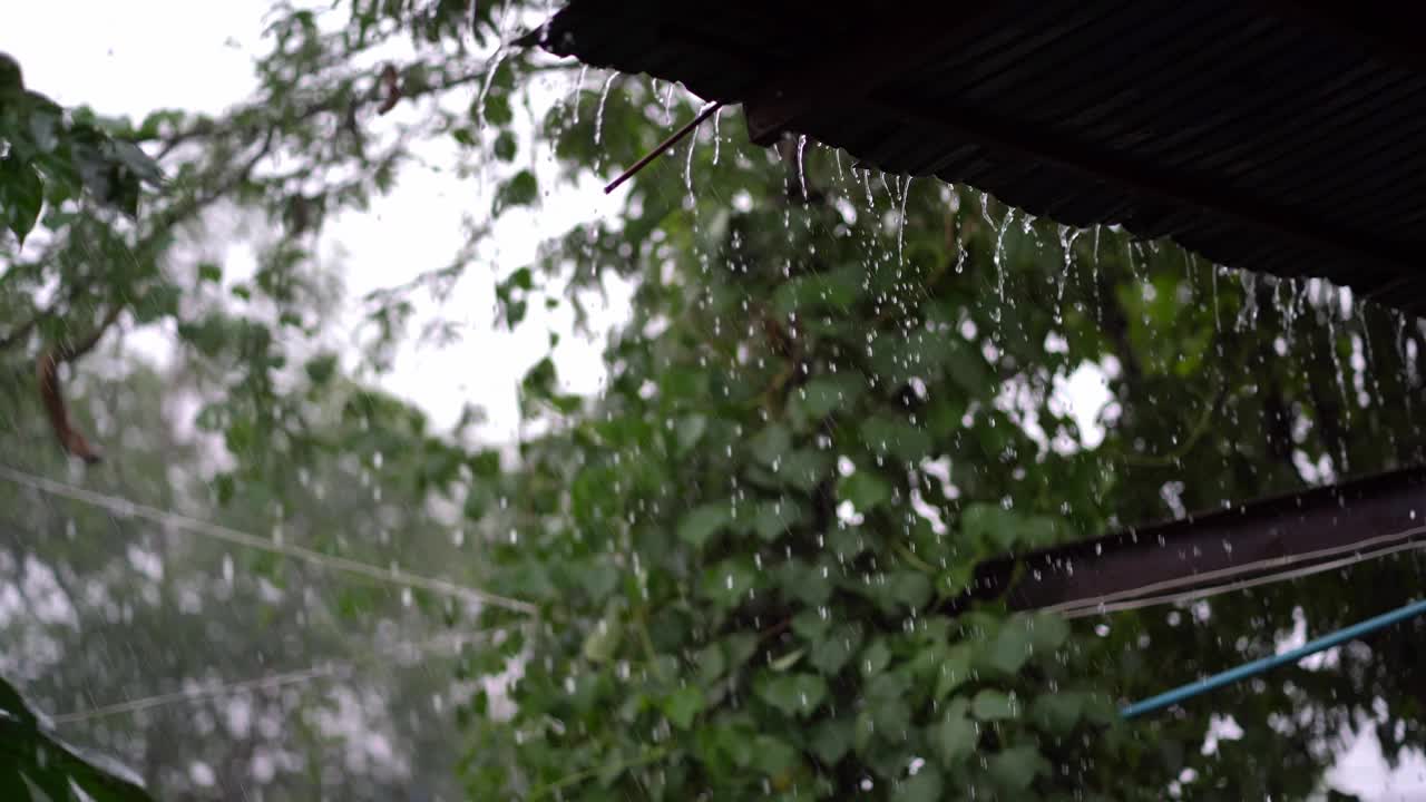 雨季，大雨落在屋顶上视频下载