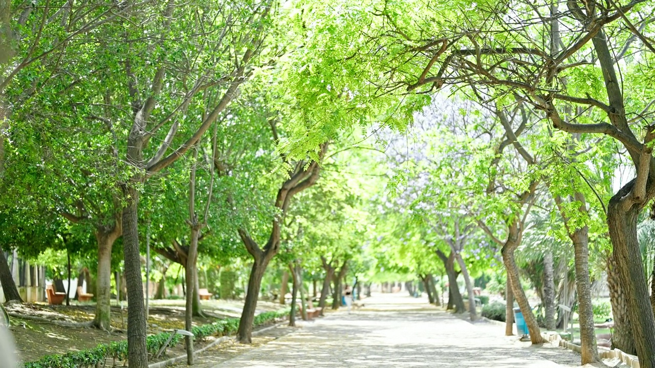 在公园有花粉过敏的西班牙裔年轻人视频素材