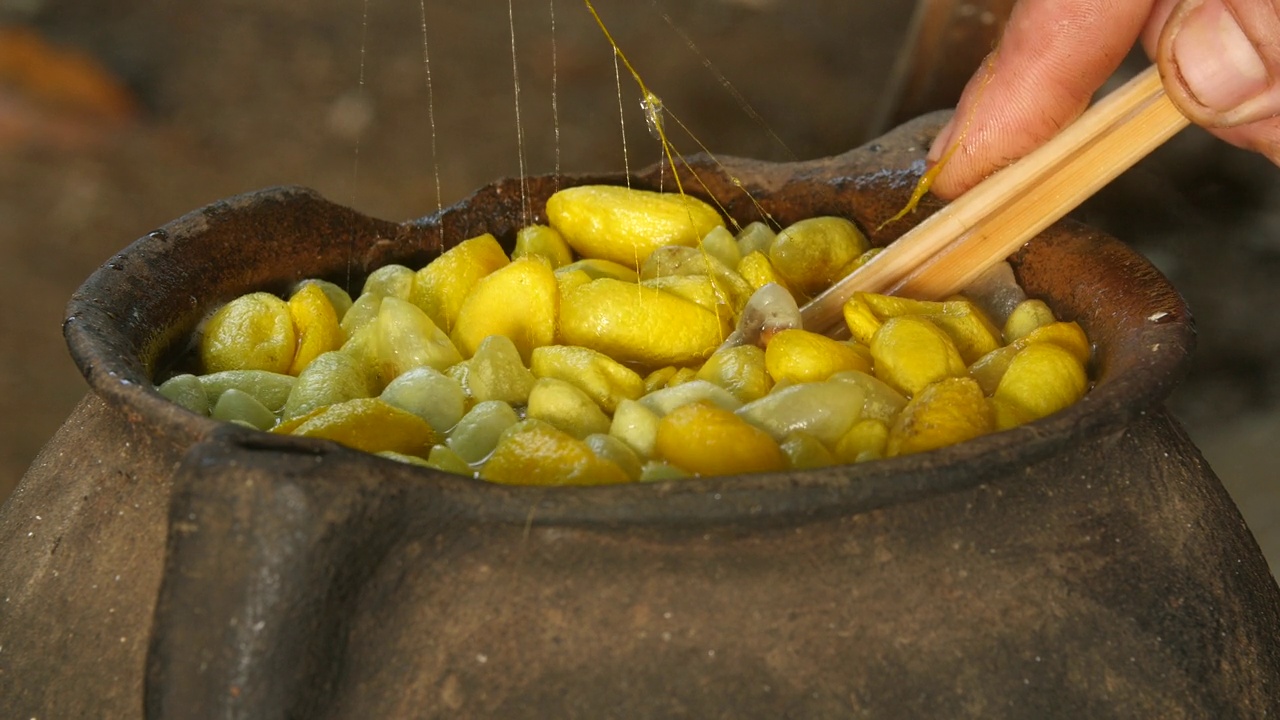 在锅里沸腾的蚕茧，同时把丝线抽出来视频素材