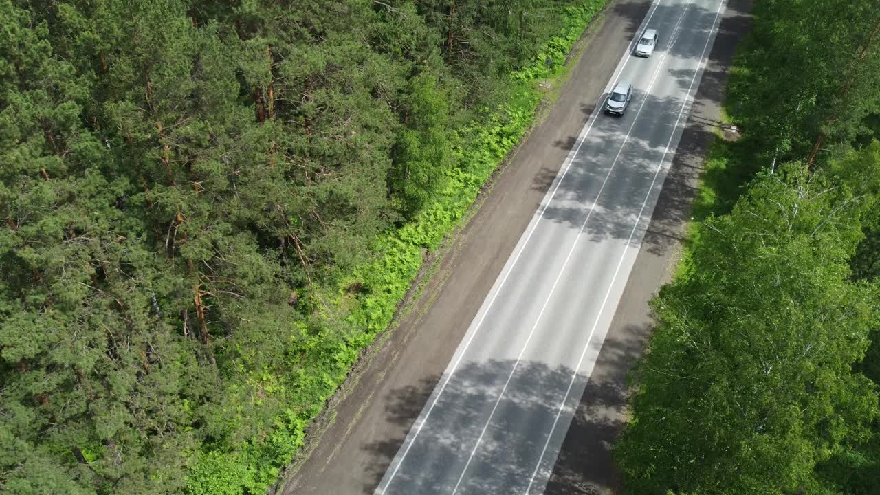 松树和柏油路的空中自然景观。视频素材