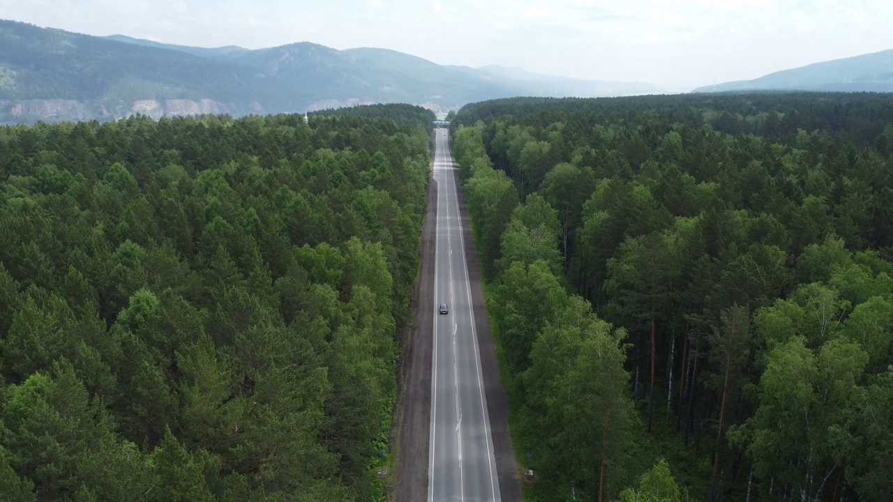 松树和柏油路的空中自然景观。视频素材