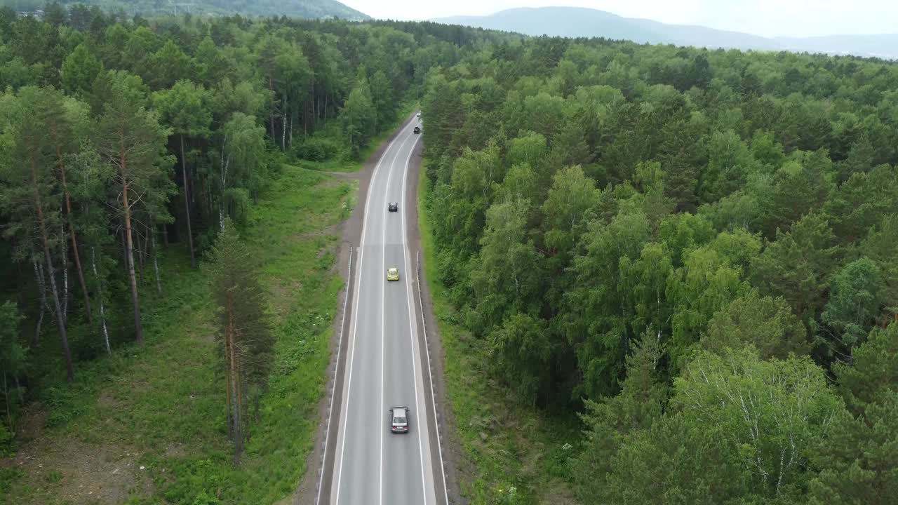 松树和柏油路的空中自然景观。视频素材