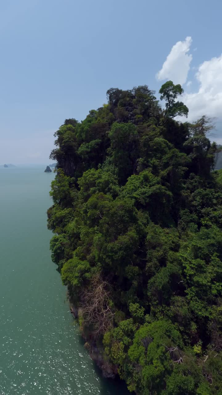 垂直视频。近动态飞行山岩在绿色森林岛视频素材