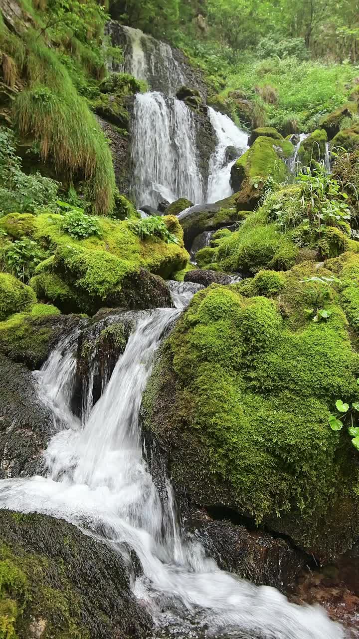 野性的阿尔卑斯山，绿色的瀑布视频素材