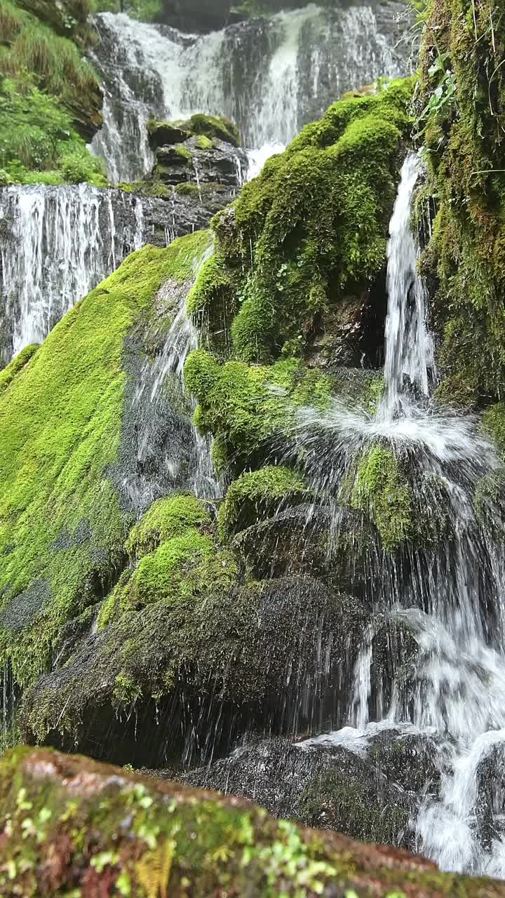 野性的阿尔卑斯山，绿色的瀑布视频素材