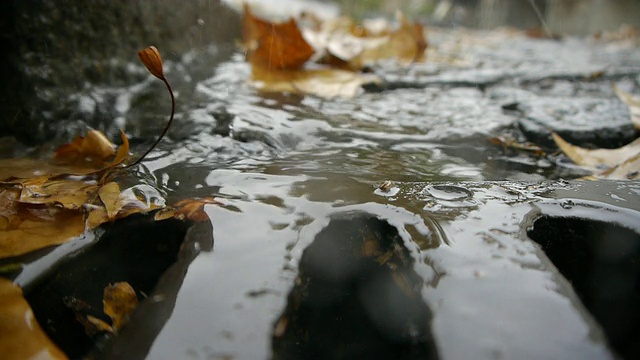 秋天的雨-下水道溪流。视频素材