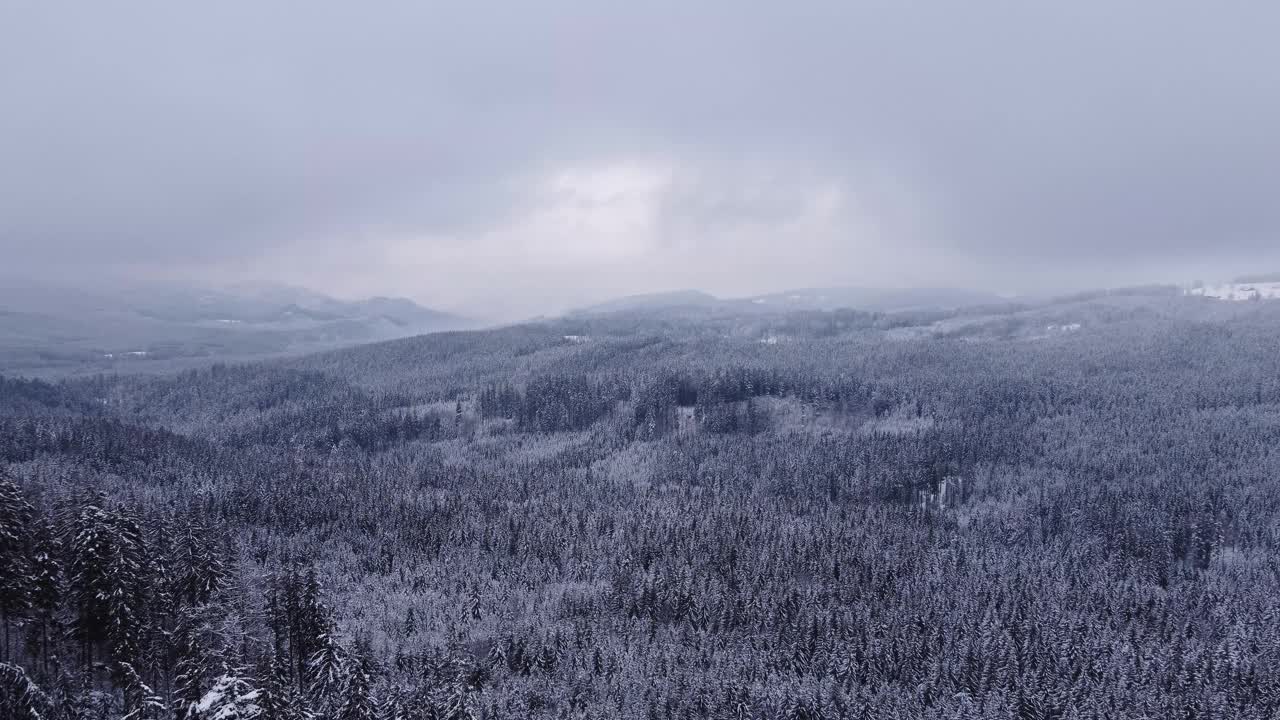 鸟瞰白雪覆盖的白色树林，让人联想到冬天的王国。云杉林在冬季被雪覆盖。捷克共和国，4k视频视频素材