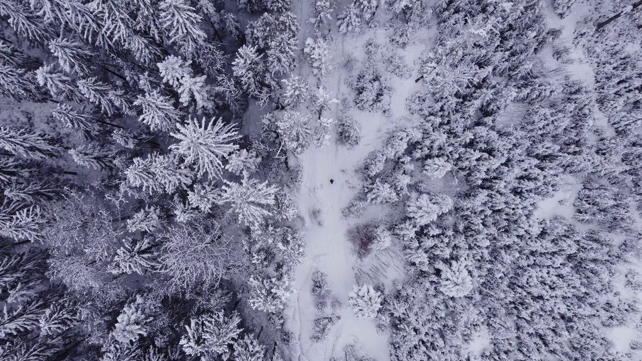 一个不知疲倦、爱冒险的人穿过贝斯基山脉，吹着风，在雪地里涉水。恶劣和危险的条件。4 k的视频视频素材