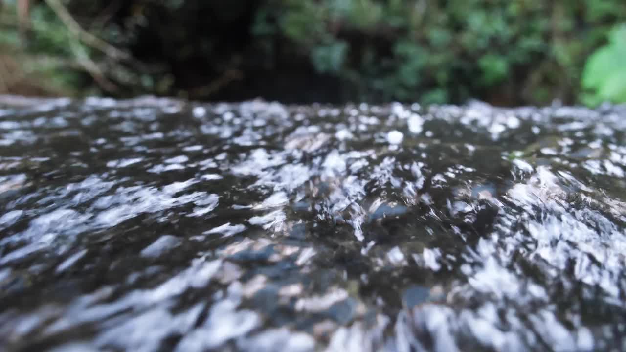 河流平静地循环着视频下载